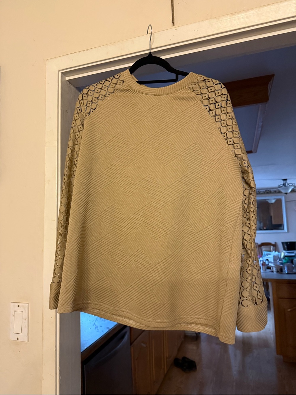 Beige Textured Pullover with Lace Raglan Sleeves
